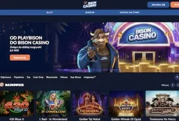 Bison Casino website